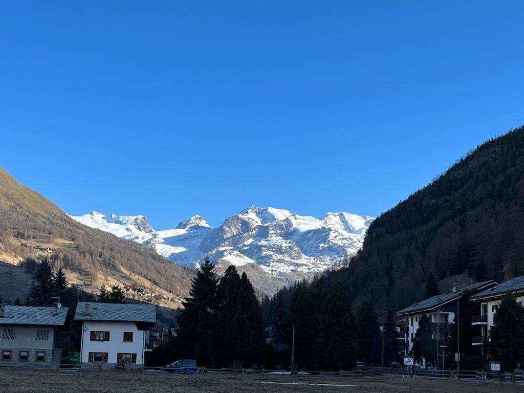 The Snow - Appartamento Panoramico Con Balcone Champoluc Luaran gambar